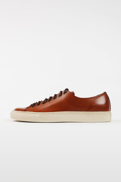 Sneaker Tanino - cooder