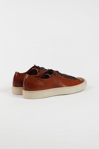 Sneaker Tanino - cooder