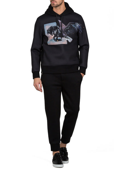 Horse Eagle Hybrid Hoodie - cooder
