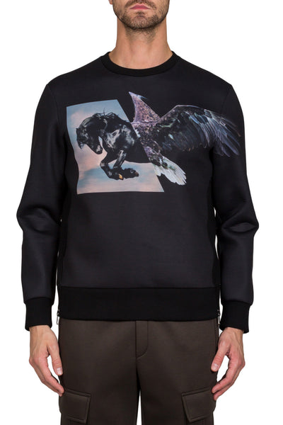 Horse Eagle Hybrid Sweatshirt - cooder